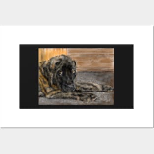 English Mastiff Puppy Posters and Art